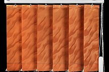 9605   bronzeo